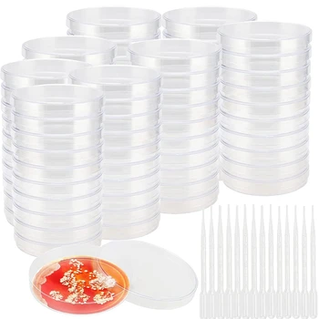 80 Упаковок Пластиковых чашек Петри диаметром 90 мм С Крышками, Чашки с 200 Пластиковыми Пипетками для переноса (3 мл)
